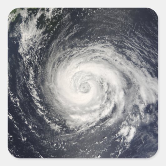 台風台風 スクエアシール (正面)