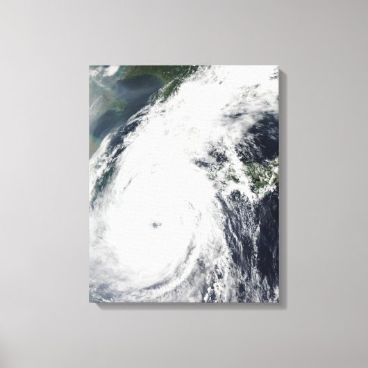 台風2号 キャンバスプリント (正面)