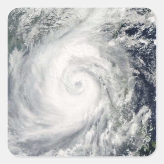 台風2号 スクエアシール (正面)