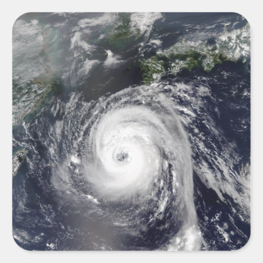 台風2号 スクエアシール (正面)