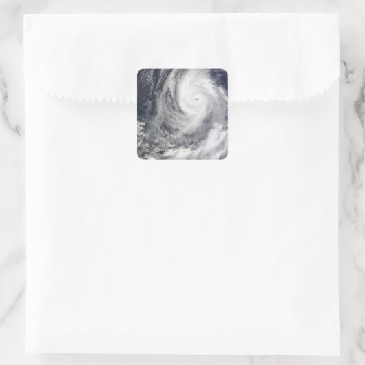 台風2号 スクエアシール (バッグ)