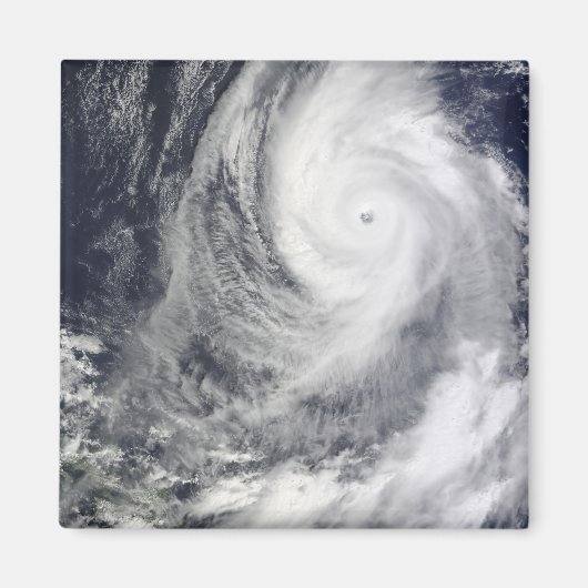 台風2号 マグネット (正面)