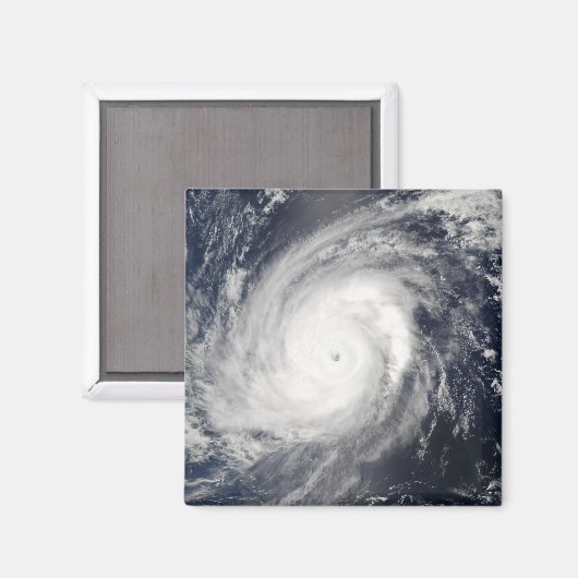 台風2号 マグネット (正面/裏面)