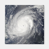 台風2号 マグネット (正面)