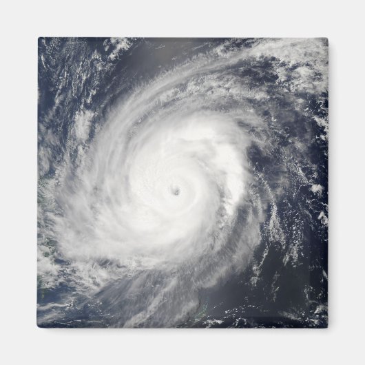 台風2号 マグネット (正面)