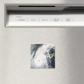 台風2号 マグネット (インサイチュ (食洗機))