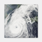 台風2号 マグネット (正面)