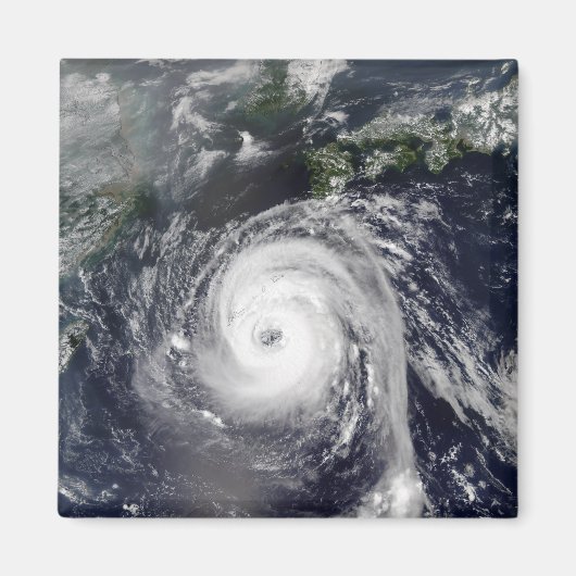 台風2号 マグネット (正面)