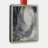 台風2号 メタルオーナメント (右)