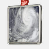 台風2号 メタルオーナメント (左)