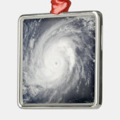 台風2号 メタルオーナメント (左)
