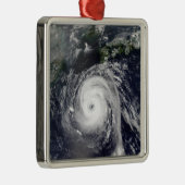 台風2号 メタルオーナメント (右)