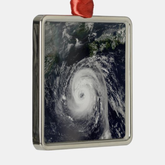 台風2号 メタルオーナメント (右)