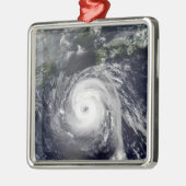 台風2号 メタルオーナメント (左)