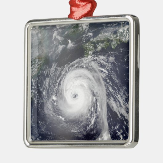 台風2号 メタルオーナメント (左)