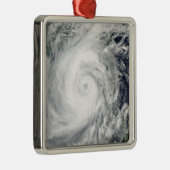 台風2号 メタルオーナメント (右)