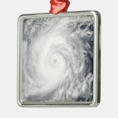 台風2号 メタルオーナメント (左)