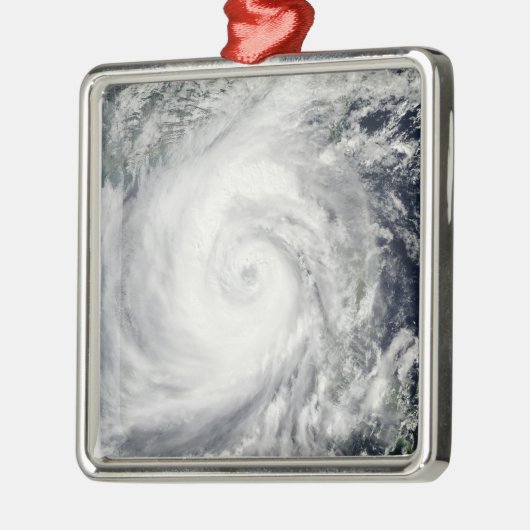 台風2号 メタルオーナメント (左)