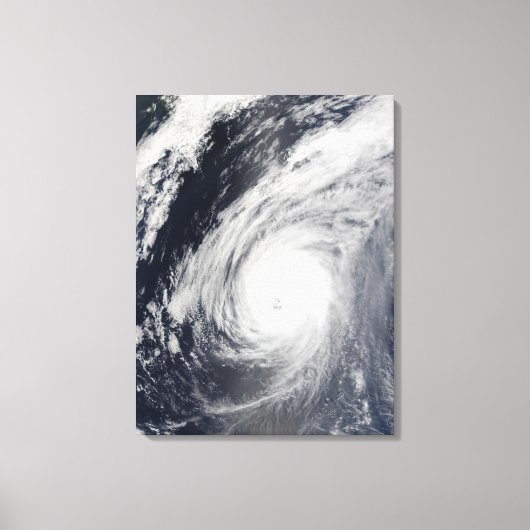 台風3号 キャンバスプリント (正面)