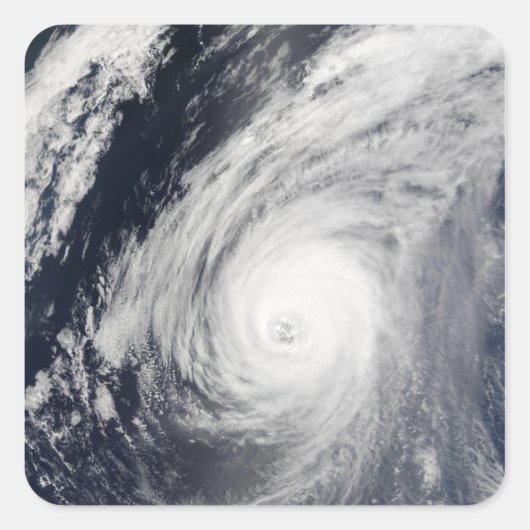 台風3号 スクエアシール (正面)