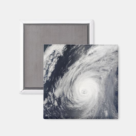 台風3号 マグネット (正面/裏面)