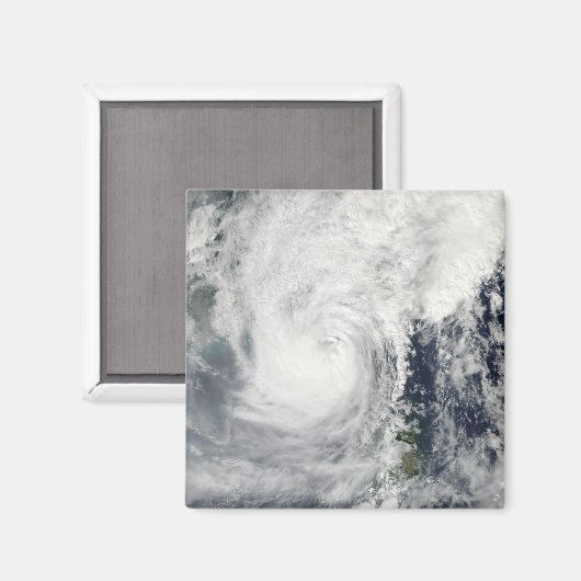 台風3号 マグネット (正面/裏面)