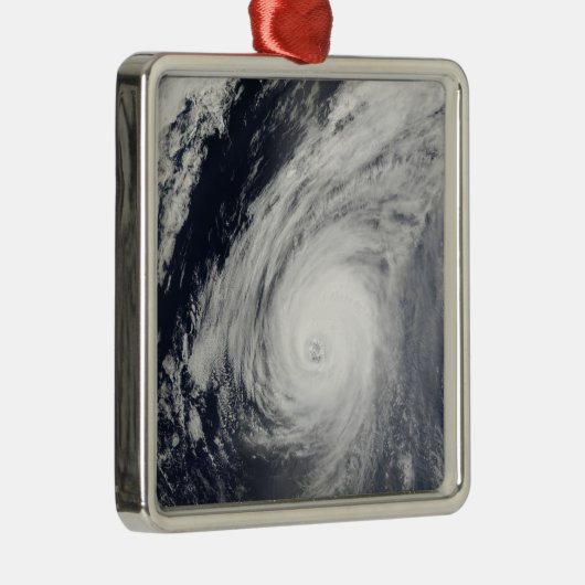 台風3号 メタルオーナメント (右)