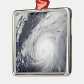 台風3号 メタルオーナメント (左)