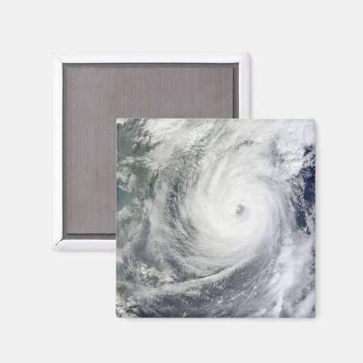 台風4号 マグネット (正面/裏面)