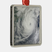 台風4号 メタルオーナメント (右)