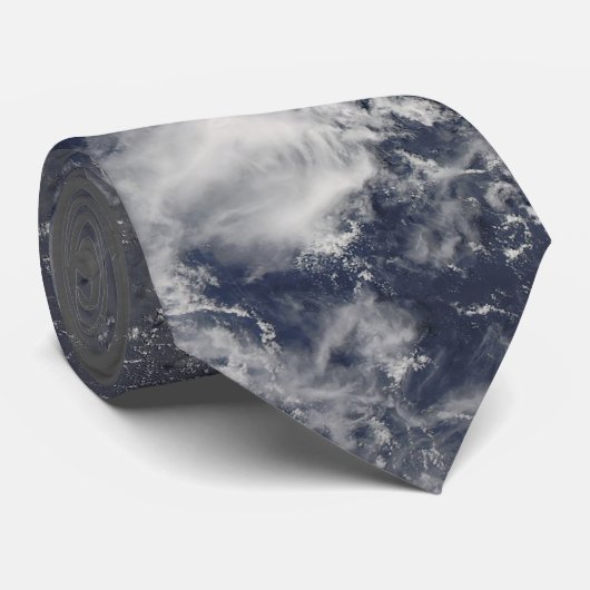 台風 ネクタイ (ロール)