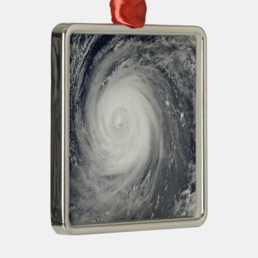 台風Choi-wan南日本,太平洋海 メタルオーナメント (右)