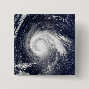 台風Higos 缶バッジ