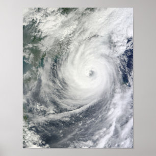 台風Megi ポスター