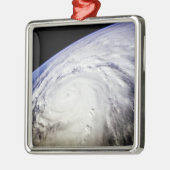 台風Saomai メタルオーナメント (左)