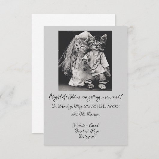 史上最もかわいい猫をテーマにした結婚式の招待状 出欠カード (正面/裏面)