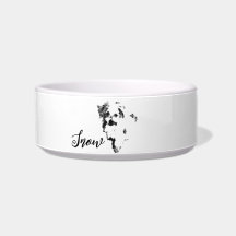 史上最も可愛いマルチーズ犬