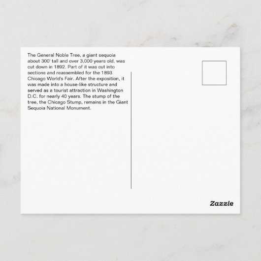 史上最大の切り倒されたセコイア ポストカード (裏面)