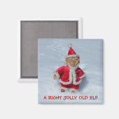 右のすてき古い小妖精や小人。 マグネット (正面/裏面)