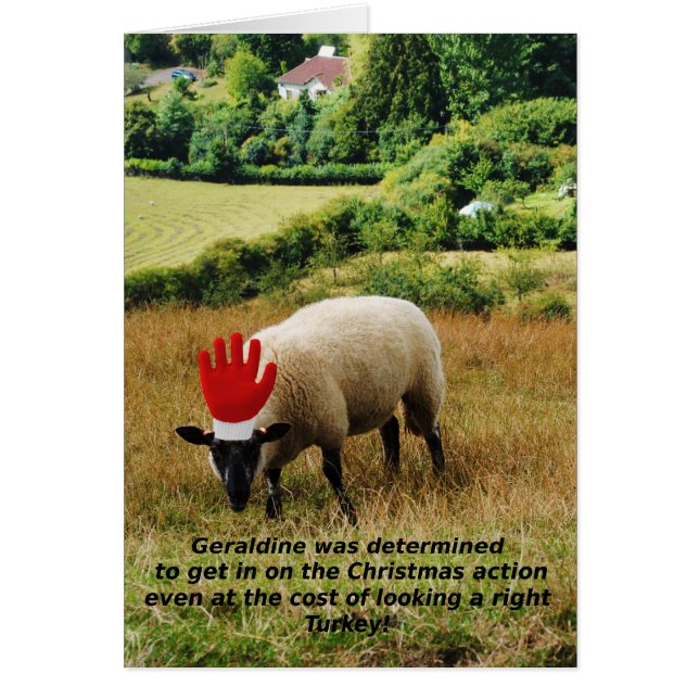 右の七面鳥! (正面)