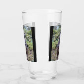 右を見るヒメコンドル タンブラーグラス (左)
