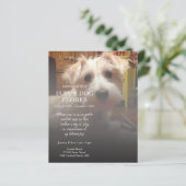 右サイド写真記念碑 (スタンド正面)