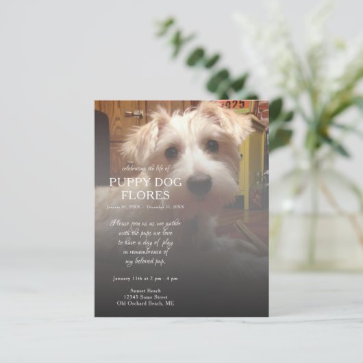 右サイド写真記念碑 (スタンド正面)