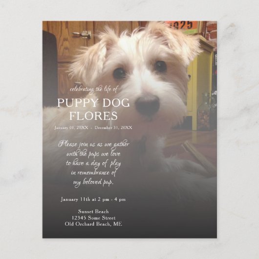 右サイド写真記念碑 (正面)