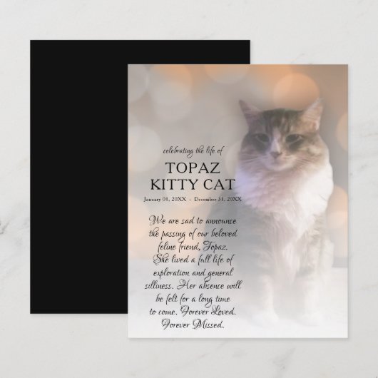 右サイド写真記念碑 (正面/裏面)