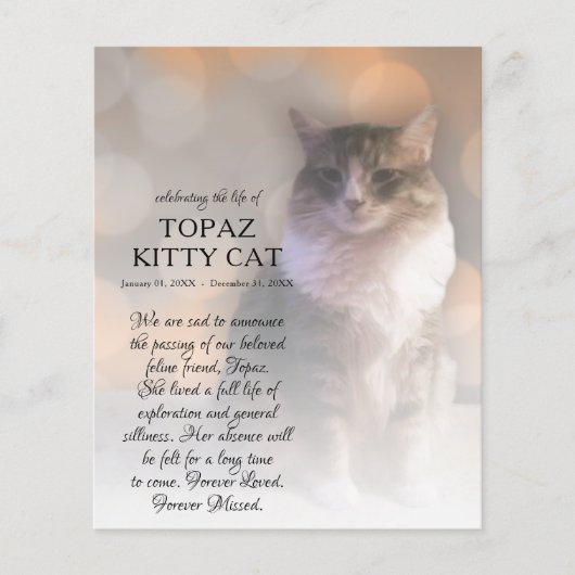 右サイド写真記念碑 (正面)