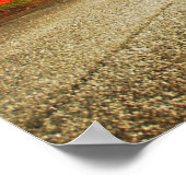 右室フライバイ ポスター (角)