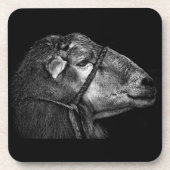 右後を追の コースター (正面)