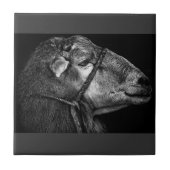 右後を追の タイル (正面)