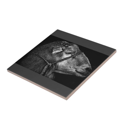 右後を追の タイル (側面)